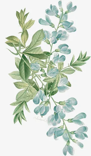 蓝绿色茶壶风花免抠