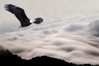 中国风云海老鹰群山背景素材高清