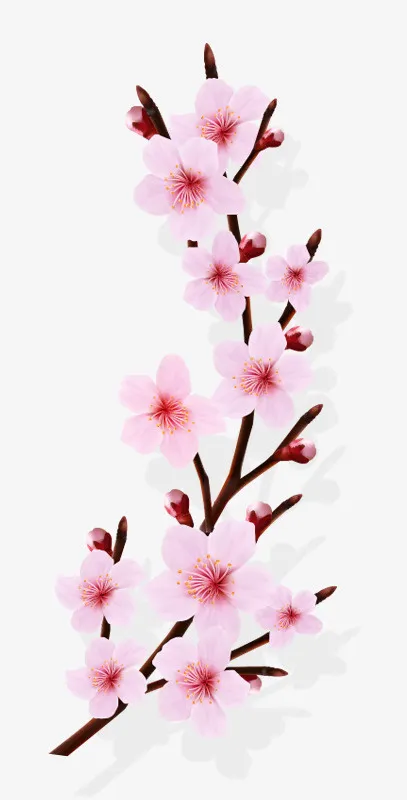 桃花免抠