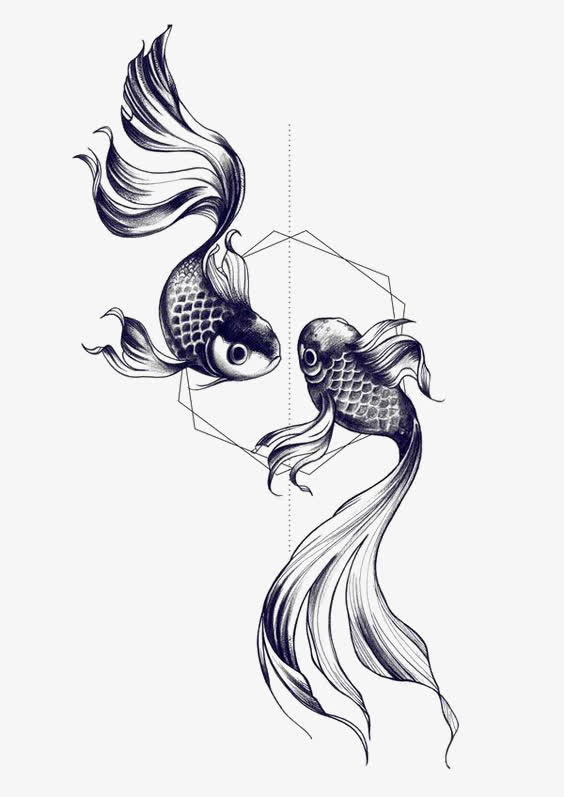 金鱼免抠