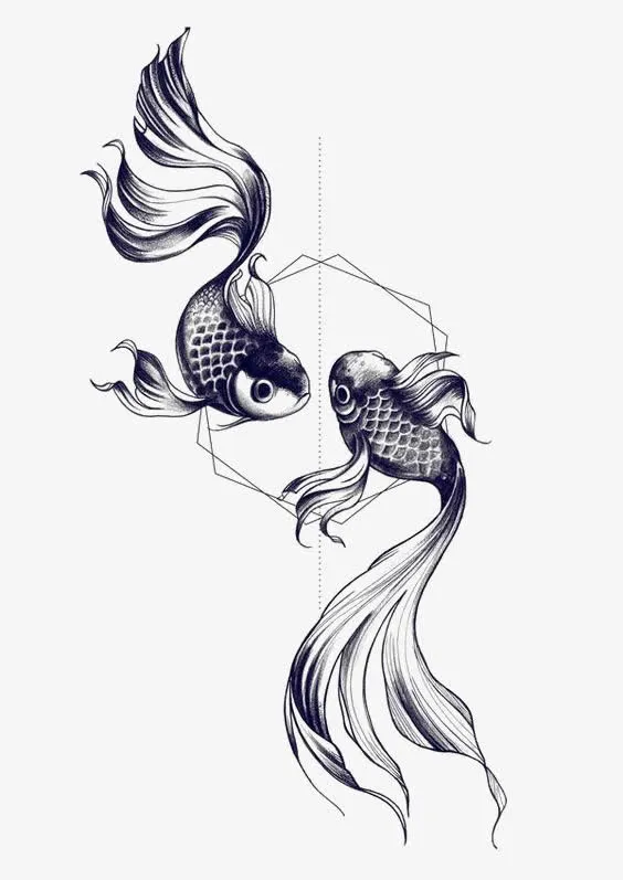 金鱼免抠