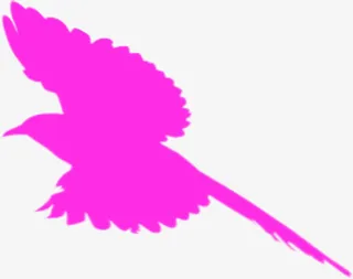 彩绘玫红色喜鹊七夕免抠