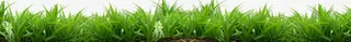 小草绿色全景海报背景
