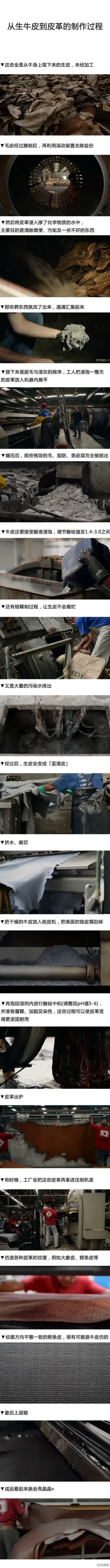 皮革制作过程实景图未经过加工的牛皮免抠 皮革制作过程实景图未经过加工的牛皮免抠