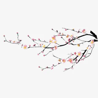 白色小花黑色树枝免抠