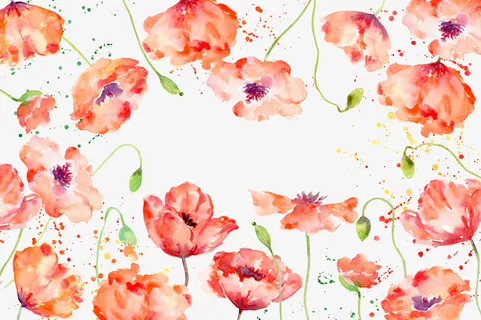 水彩花卉底纹免抠