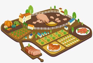 卡通创意养猪场免抠图免抠