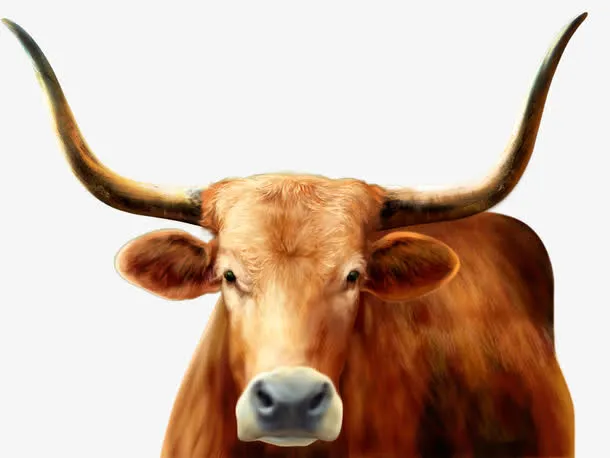卡通老黄牛免抠