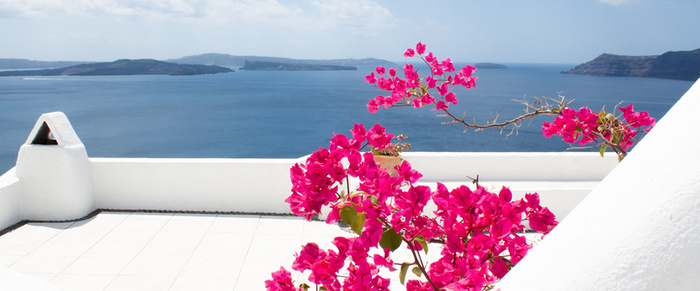 夏日摄影背景高清