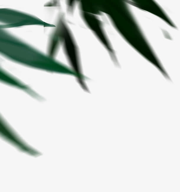 模糊的竹子叶子 免扣png素材免抠