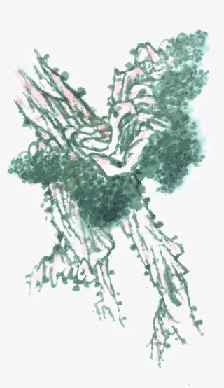 装饰国画树木免抠