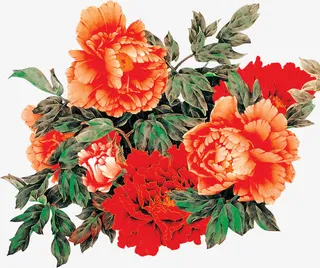 中国风牡丹红色花朵免抠