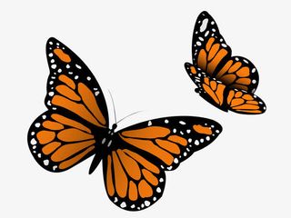 一对游戏的蝴蝶免抠素材免抠