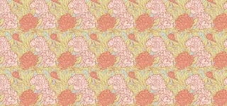 橙色花朵背景图高清