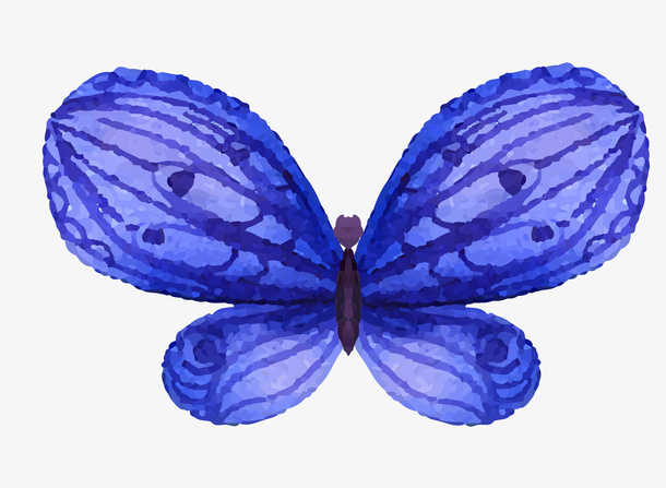 卡通手绘文艺简约蝴蝶动物插画设免抠