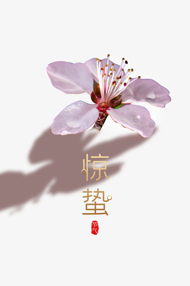 惊蛰二十四节气桃花春天免抠
