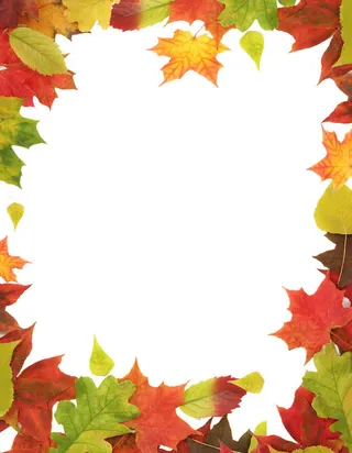 枫叶边框背景