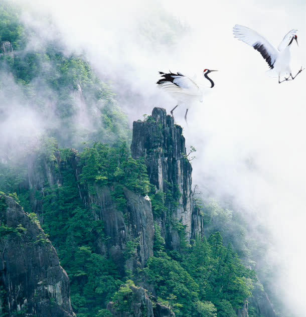 仙鹤，山水，淘宝素材，山水配景免抠