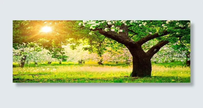 淘宝背景图高清