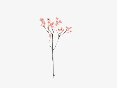 树枝免抠