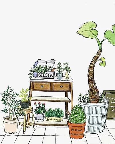 盆栽插画免抠