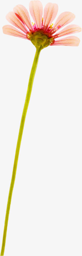 春天粉色手绘花朵免抠