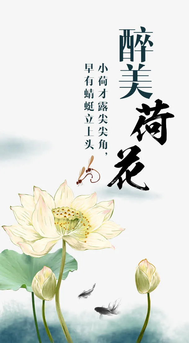 醉美荷花免抠