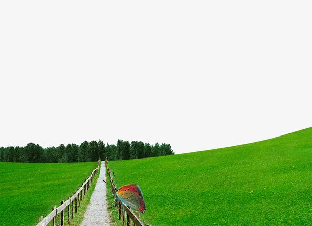 绿色草原免抠