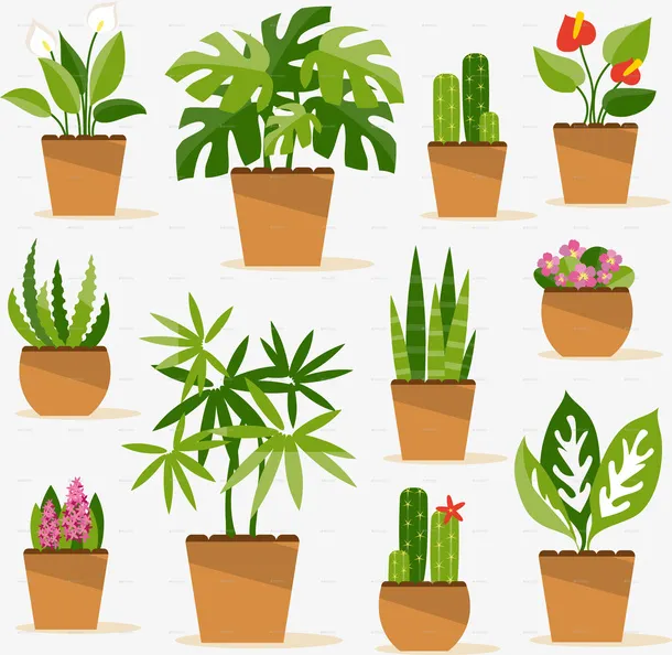 高清绿植盆景打包素材插画免抠