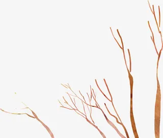 彩绘树枝免抠