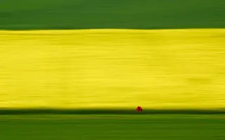 绿油油麦田风景制作免抠