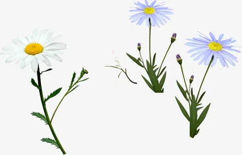 手绘简约花朵美景春天免抠