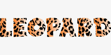 豹纹字体免抠