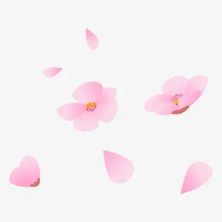 手绘漂浮花瓣免抠