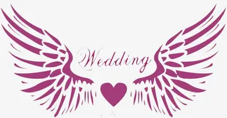 天使的翅膀免抠