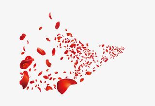 免扣飘落的桃花免抠