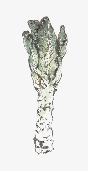 木耳菜免抠