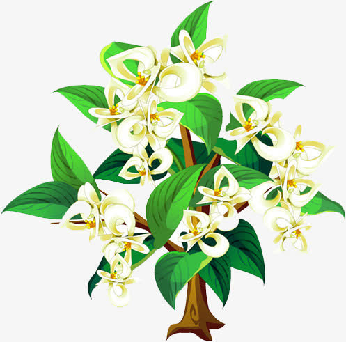 花树免抠