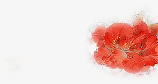 红色古典晕染花朵免抠