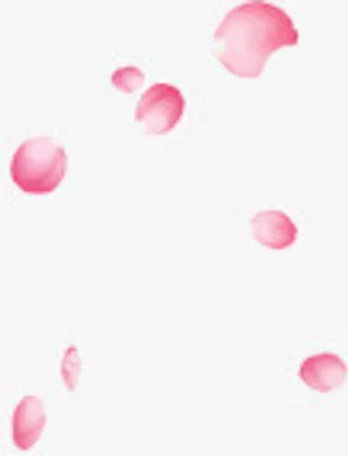 飘零粉色花瓣素材免抠
