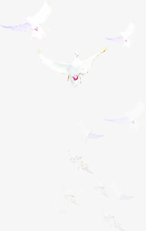 飞舞的白鸽国庆去素材免抠