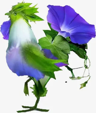 紫色喇叭花素材免抠