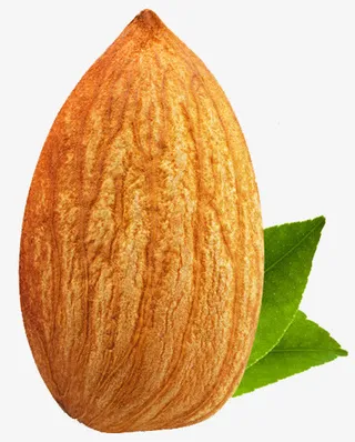 一颗巴旦木免抠