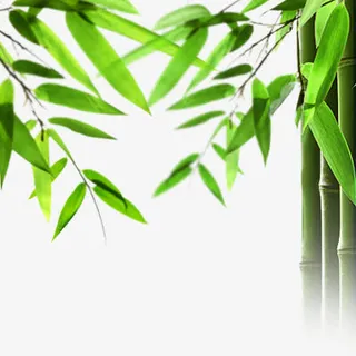 竹子免抠