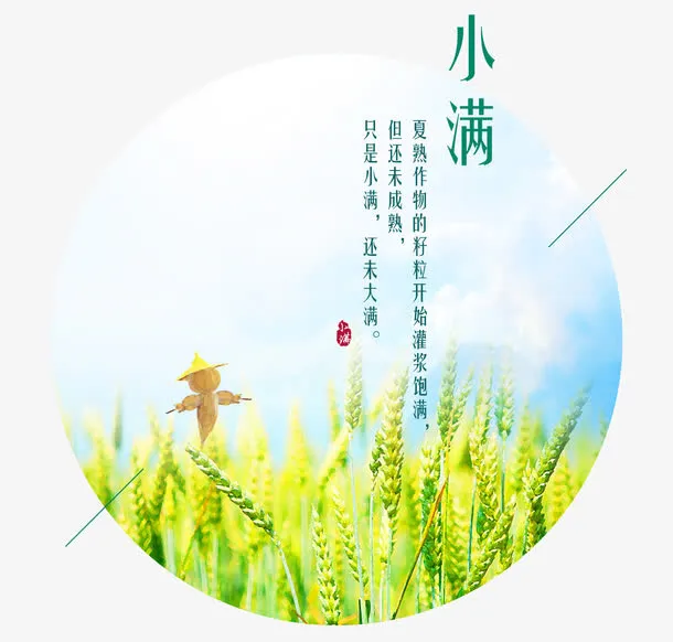 二十四节气小满主题圆形麦田海报免抠