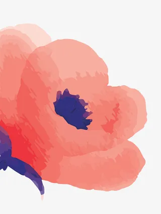 植物花朵装饰元素免抠