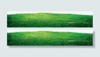 绿色春天草地美景小草免抠