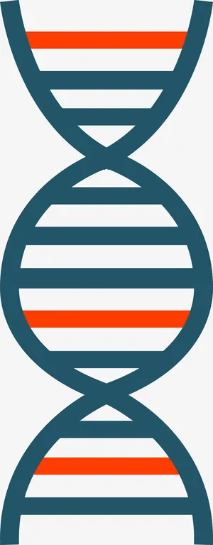 绿色螺旋线条免抠