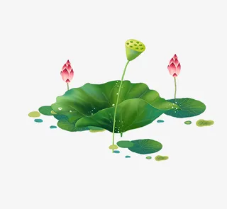 文艺清新花草花环海报设计装饰免抠