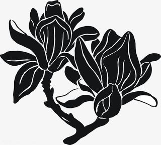 黑色创意美丽玉兰花免抠